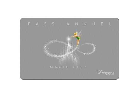 Magic Flex Card Disneyland Paris